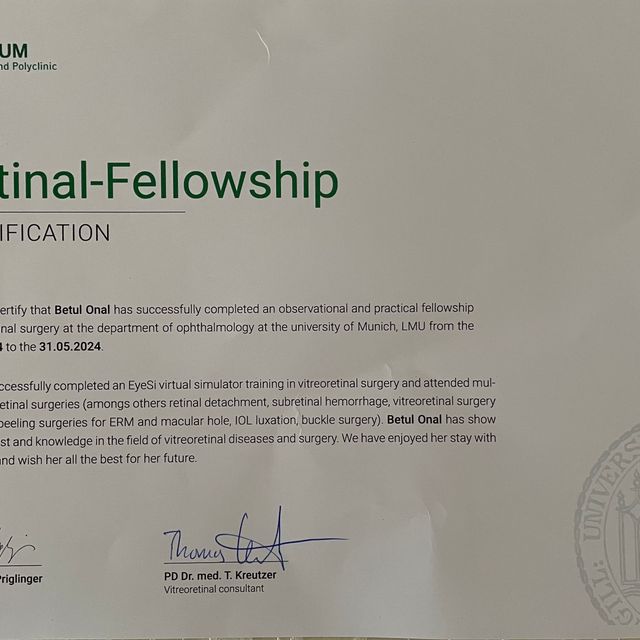 Resmi büyüt: certificate 2