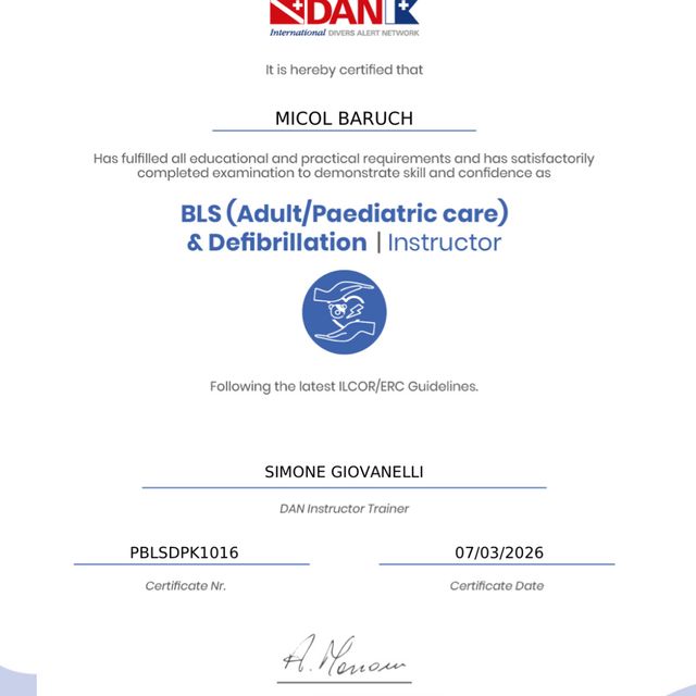 Ingrandire l'immagine: certificate 4