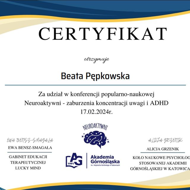 Powiększ obraz: certificate 1
