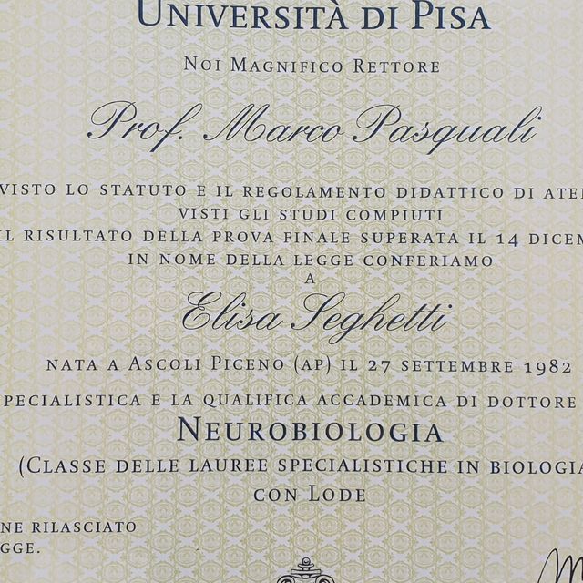 Ingrandire l'immagine: certificate 2