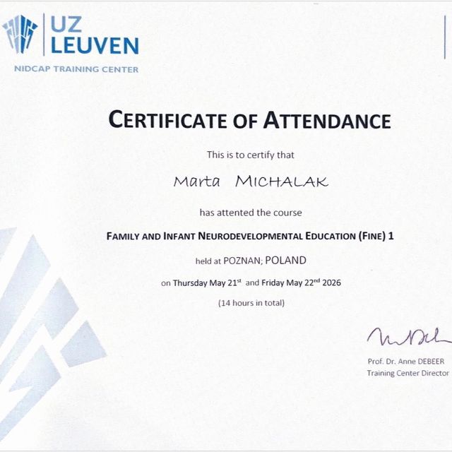 Powiększ obraz: certificate 1