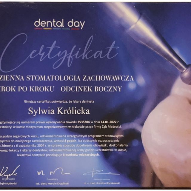 Powiększ obraz: certificate 2
