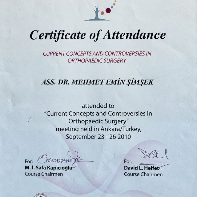 Resmi büyüt: certificate 1