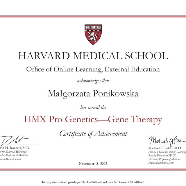Powiększ obraz: certificate 6