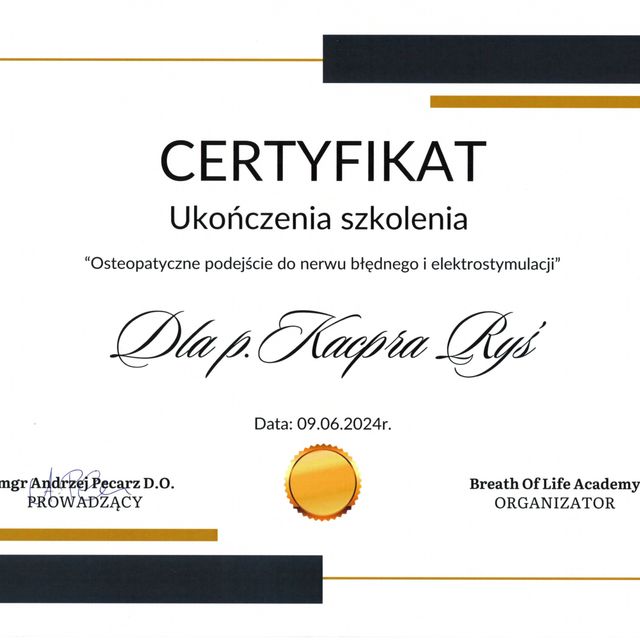 Powiększ obraz: certificate 3