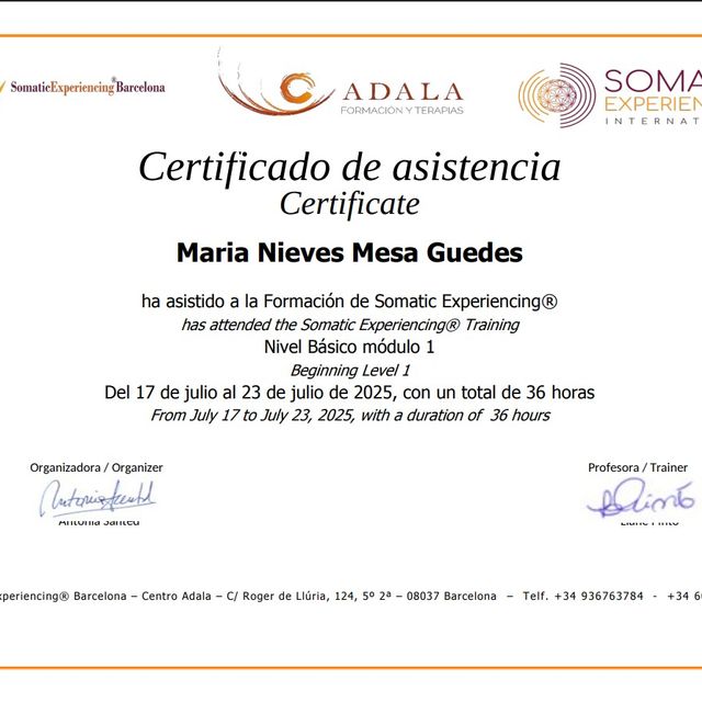 Acercar imagen: certificate 1