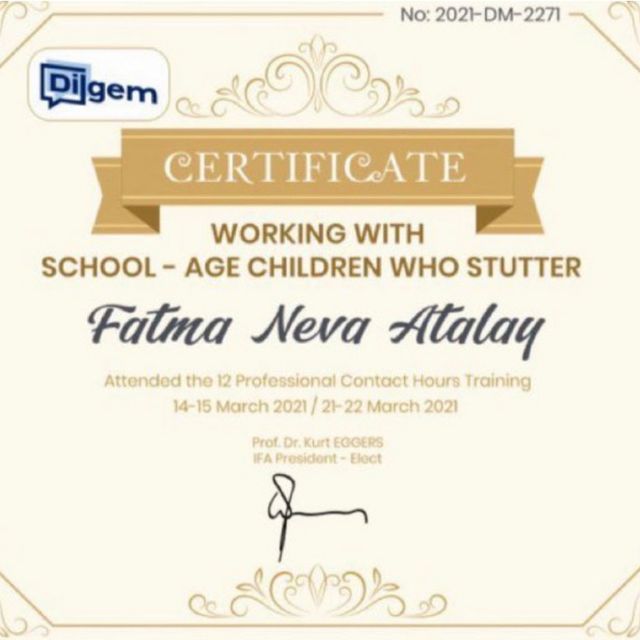 Resmi büyüt: certificate 17