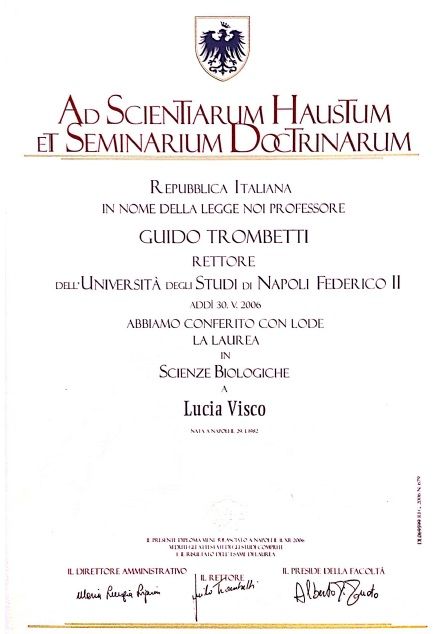 Ingrandire l'immagine: certificate 1