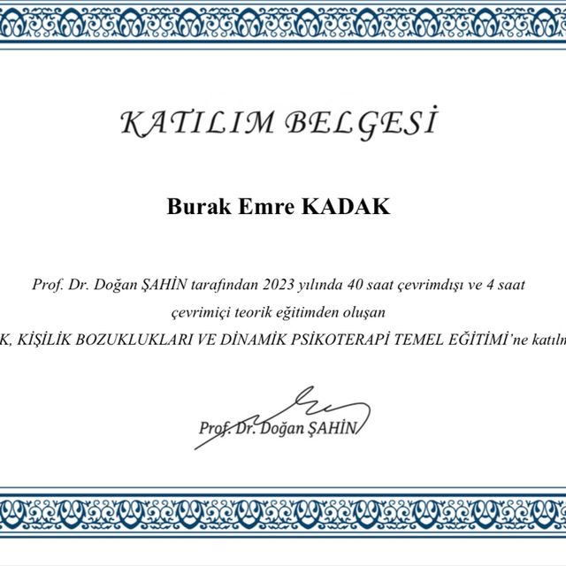 Resmi büyüt: certificate 2