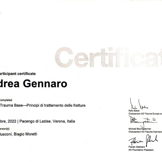 Ingrandire l'immagine: certificate 1