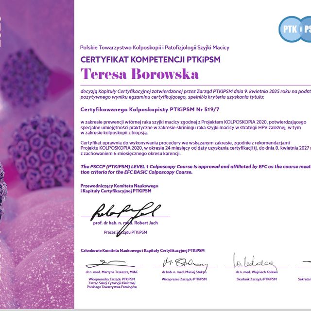 Powiększ obraz: certificate 1