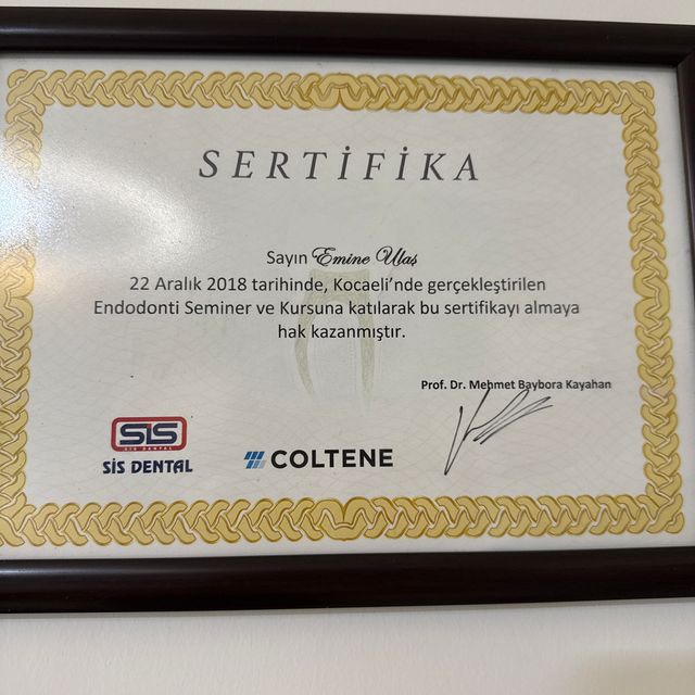 Resmi büyüt: certificate 1