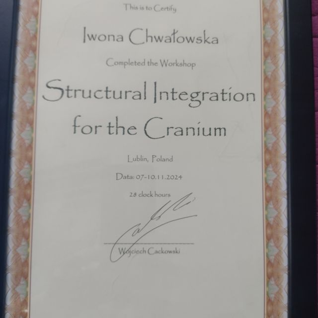 Powiększ obraz: certificate 4