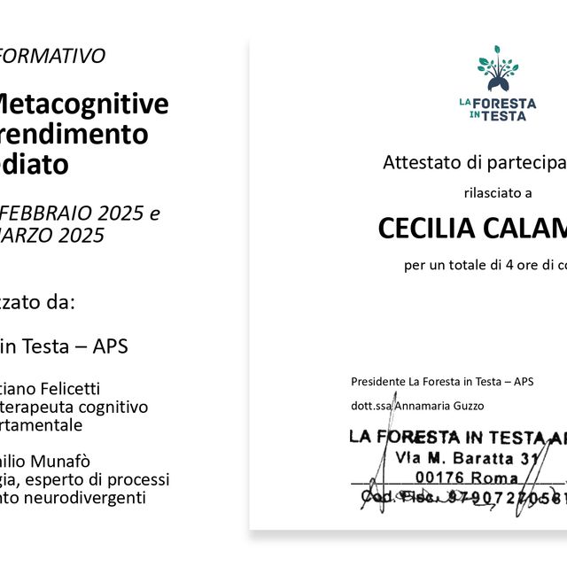Ingrandire l'immagine: certificate 1