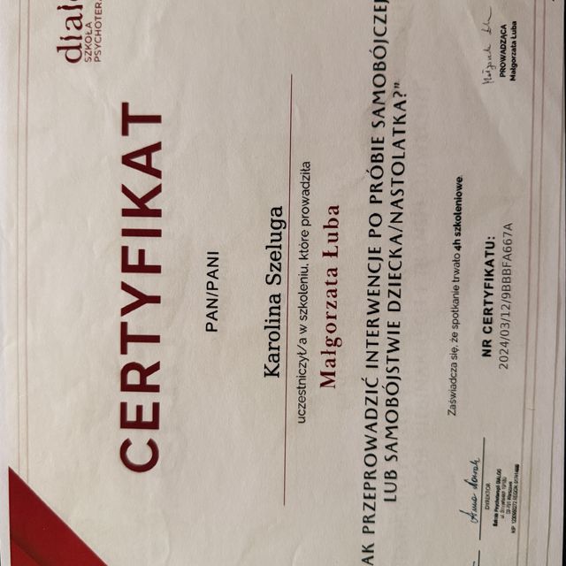 Powiększ obraz: certificate 3