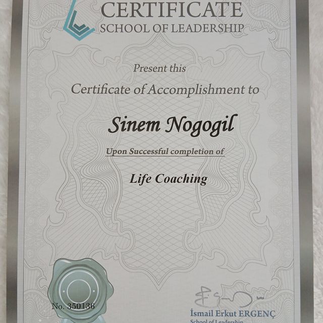 Resmi büyüt: certificate 15