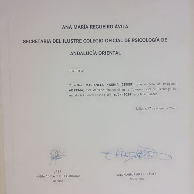 Acercar imagen: certificate 3