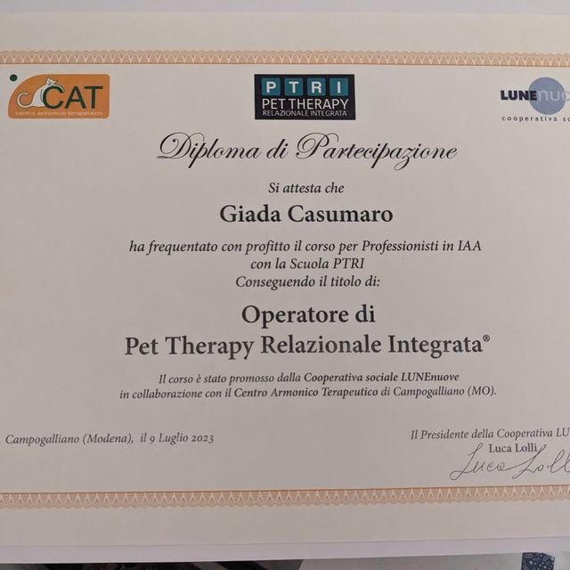 Ingrandire l'immagine: certificate 1