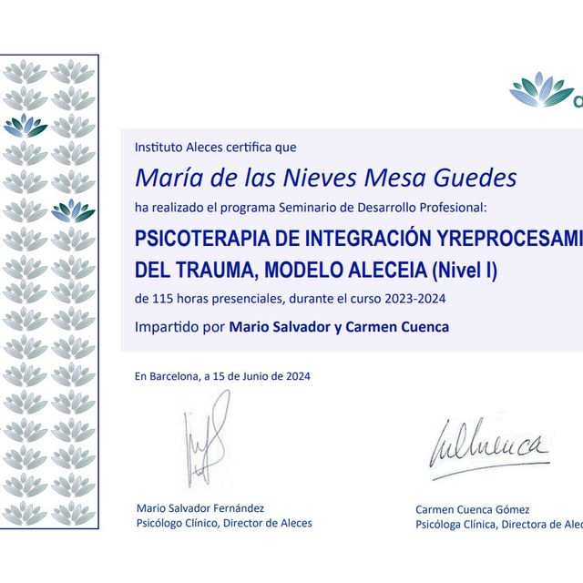 Acercar imagen: certificate 4