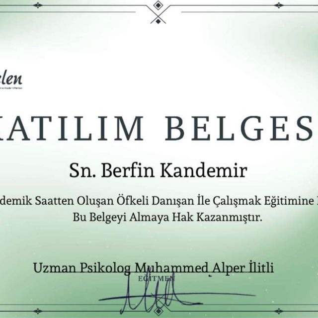 Resmi büyüt: certificate 18