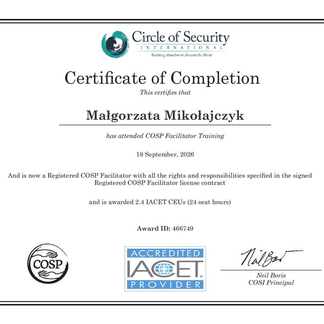 Powiększ obraz: certificate 5