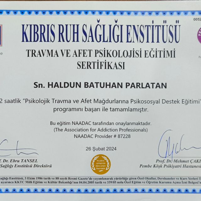 Resmi büyüt: certificate 17