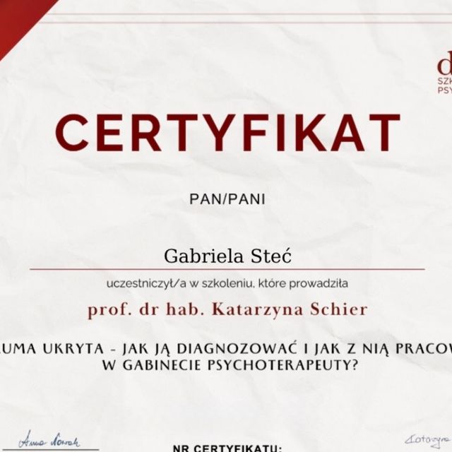 Powiększ obraz: certificate 2