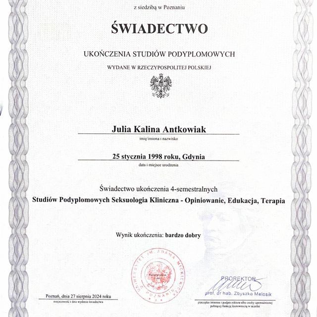 Powiększ obraz: certificate 1