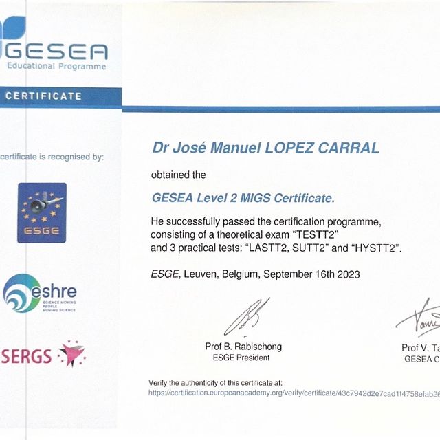 Acercar imagen: certificate 5