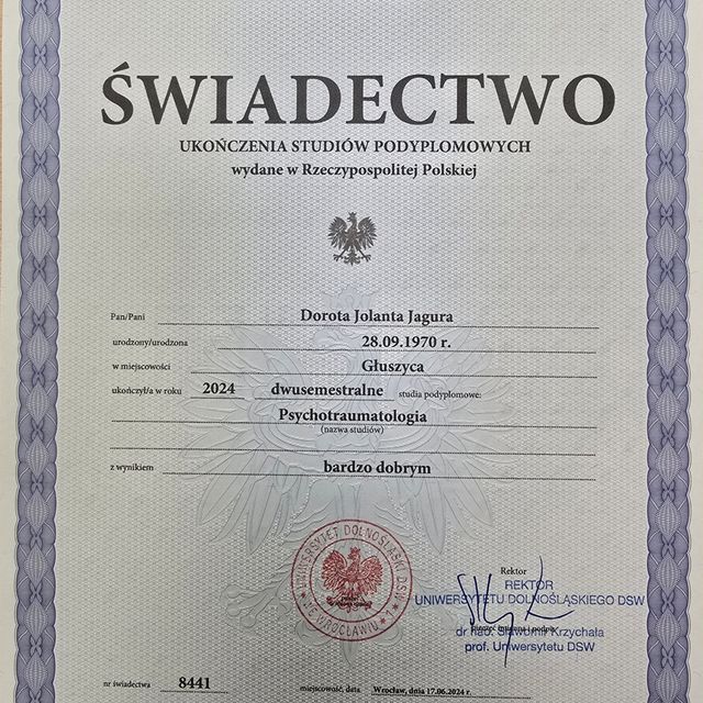 Powiększ obraz: certificate 1