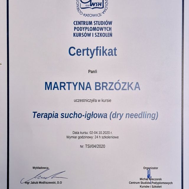 Powiększ obraz: certificate 4