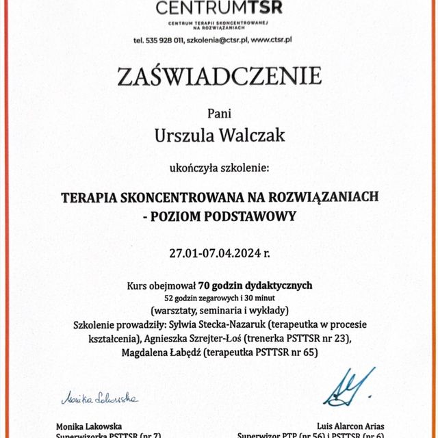 Powiększ obraz: certificate 1