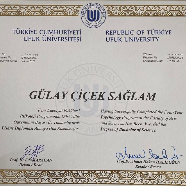 Resmi büyüt: certificate 1