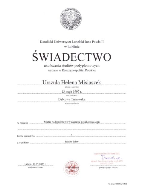 Powiększ obraz: certificate 2