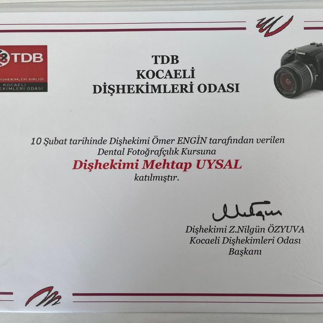 Resmi büyüt: certificate 13