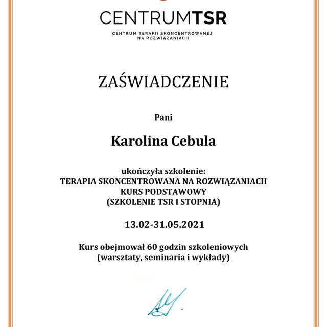 Powiększ obraz: certificate 4