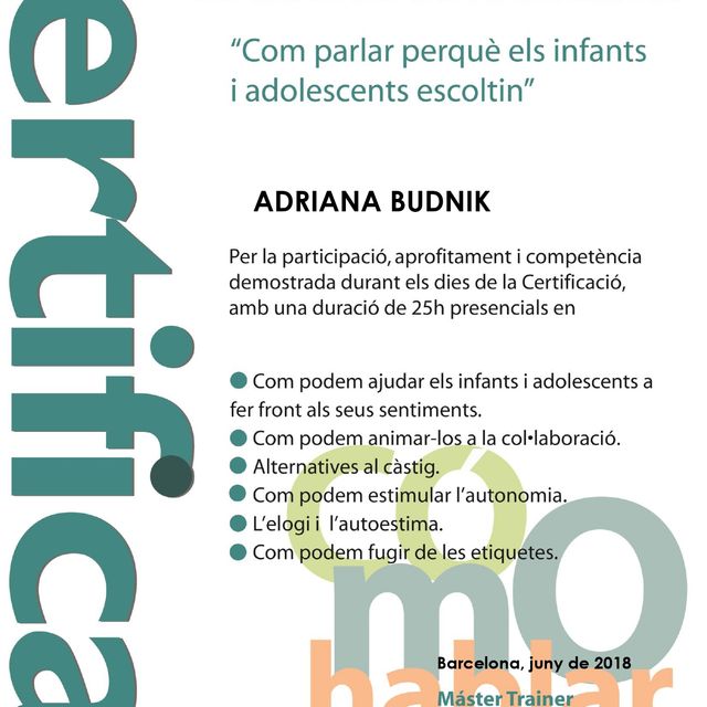 Acercar imagen: certificate 4