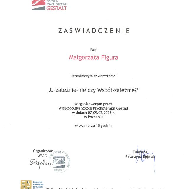 Powiększ obraz: certificate 5
