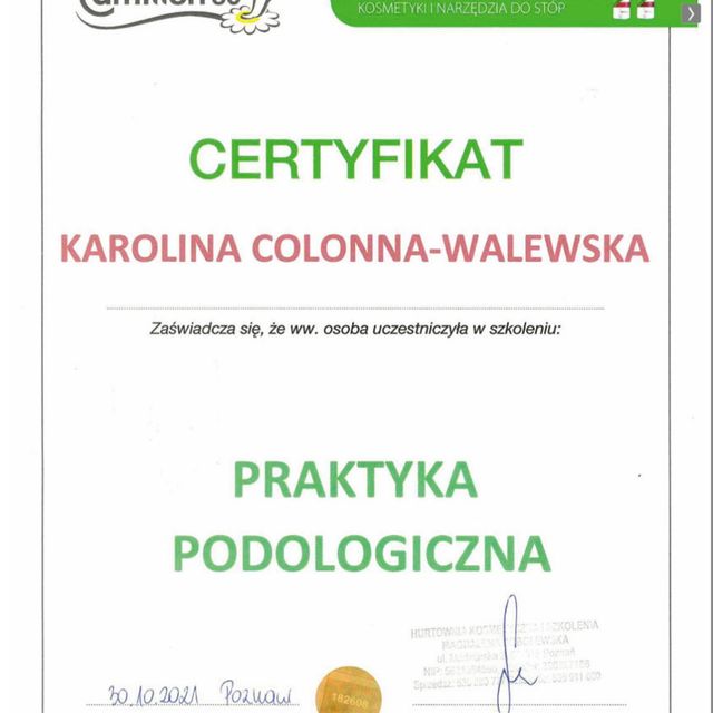 Powiększ obraz: certificate 7