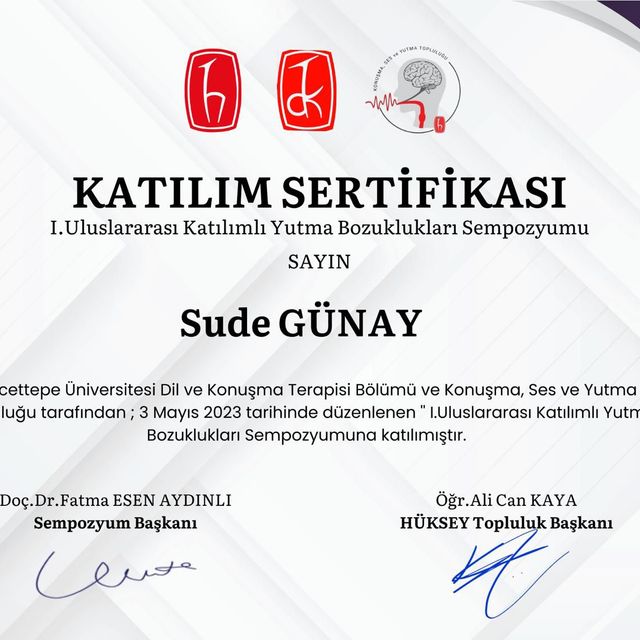Resmi büyüt: certificate 1