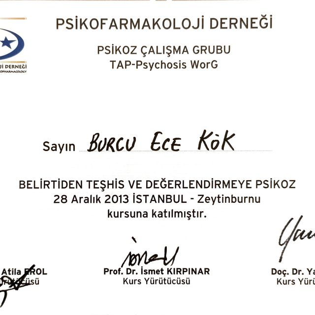 Resmi büyüt: certificate 2