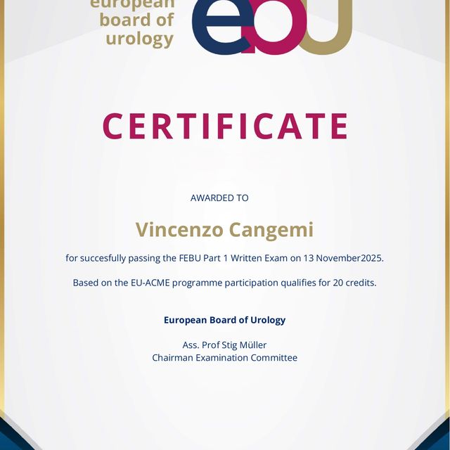 Ingrandire l'immagine: certificate 3
