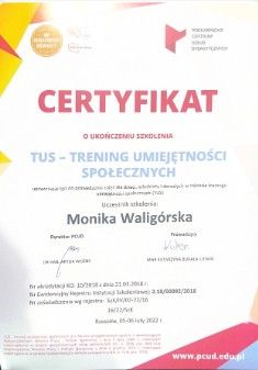 Powiększ obraz: certificate 7