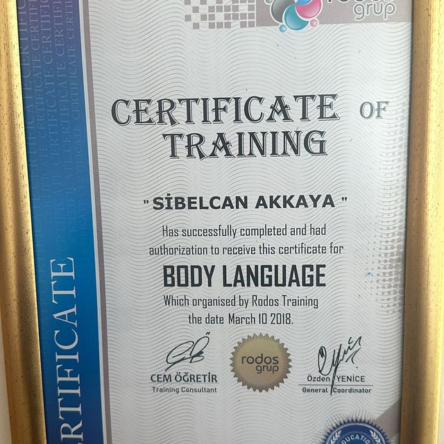 Resmi büyüt: certificate 9