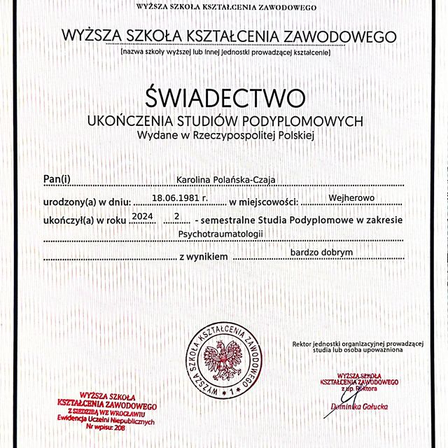 Powiększ obraz: certificate 11