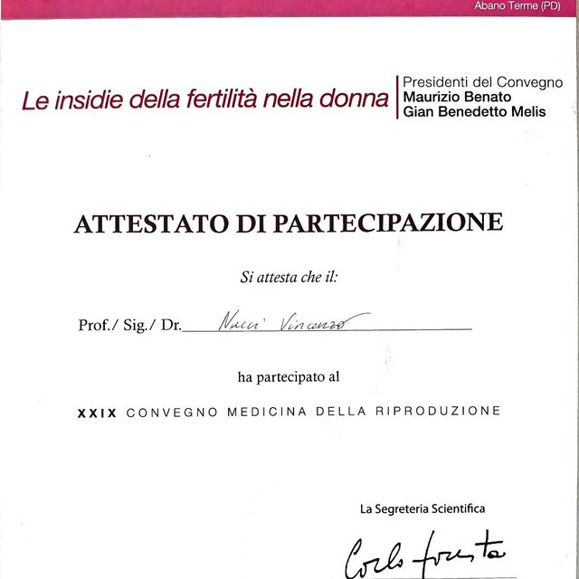 Ingrandire l'immagine: certificate 86