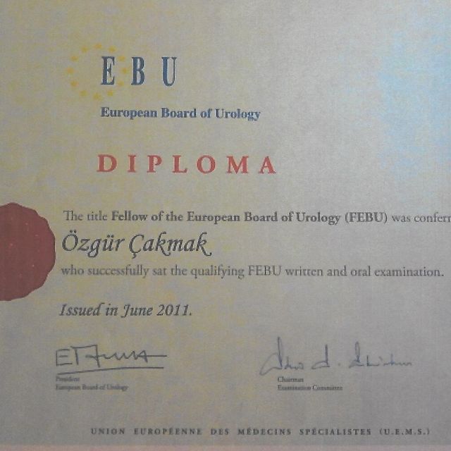 Resmi büyüt: certificate 1