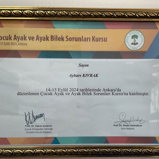 Resmi büyüt: certificate 2