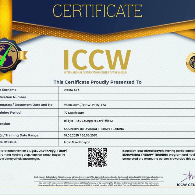 Resmi büyüt: certificate 1