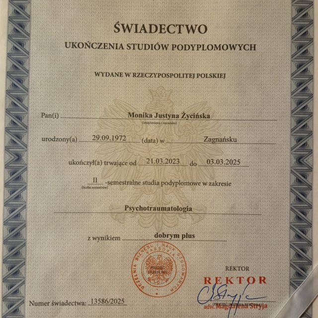 Powiększ obraz: certificate 2
